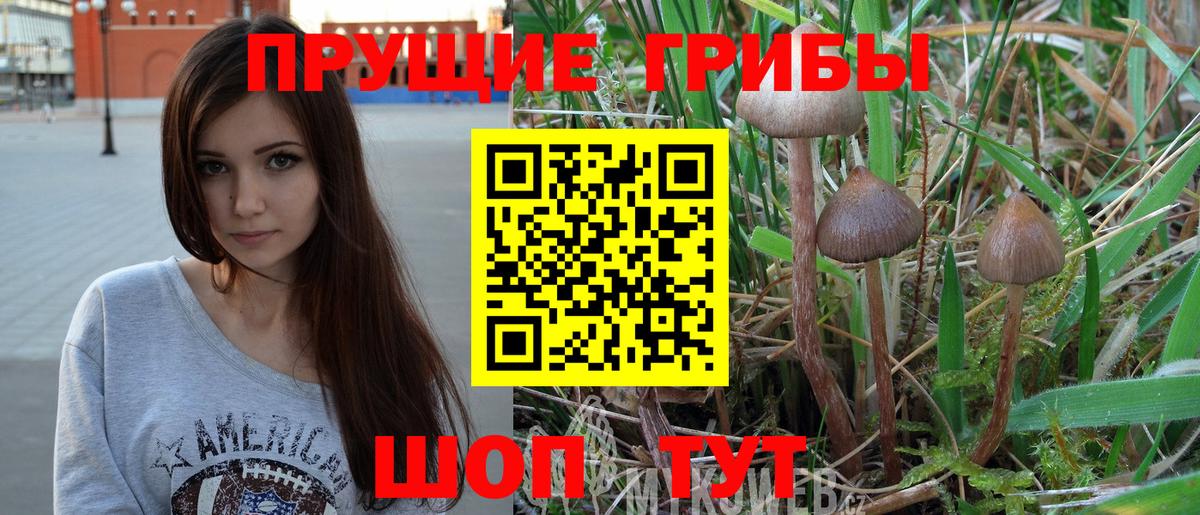 Псилоцибиновые грибы Magic Shrooms Сухой Лог